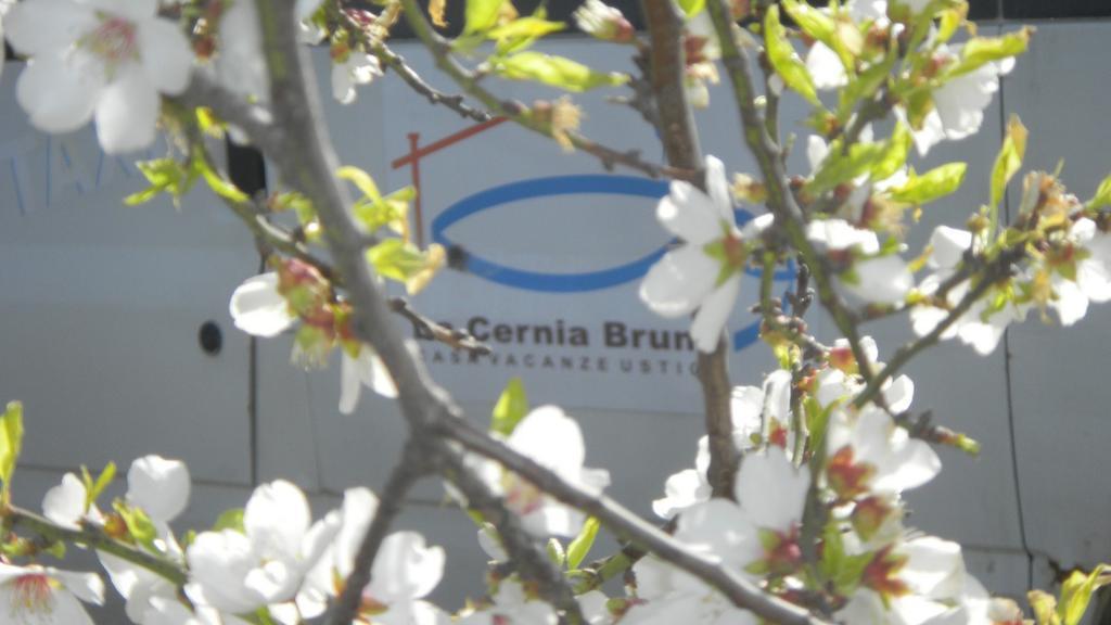 Case Vacanze La Cernia Bruna Isola di Ustica Exterior foto